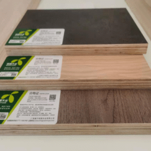 装饰性多层木材样品