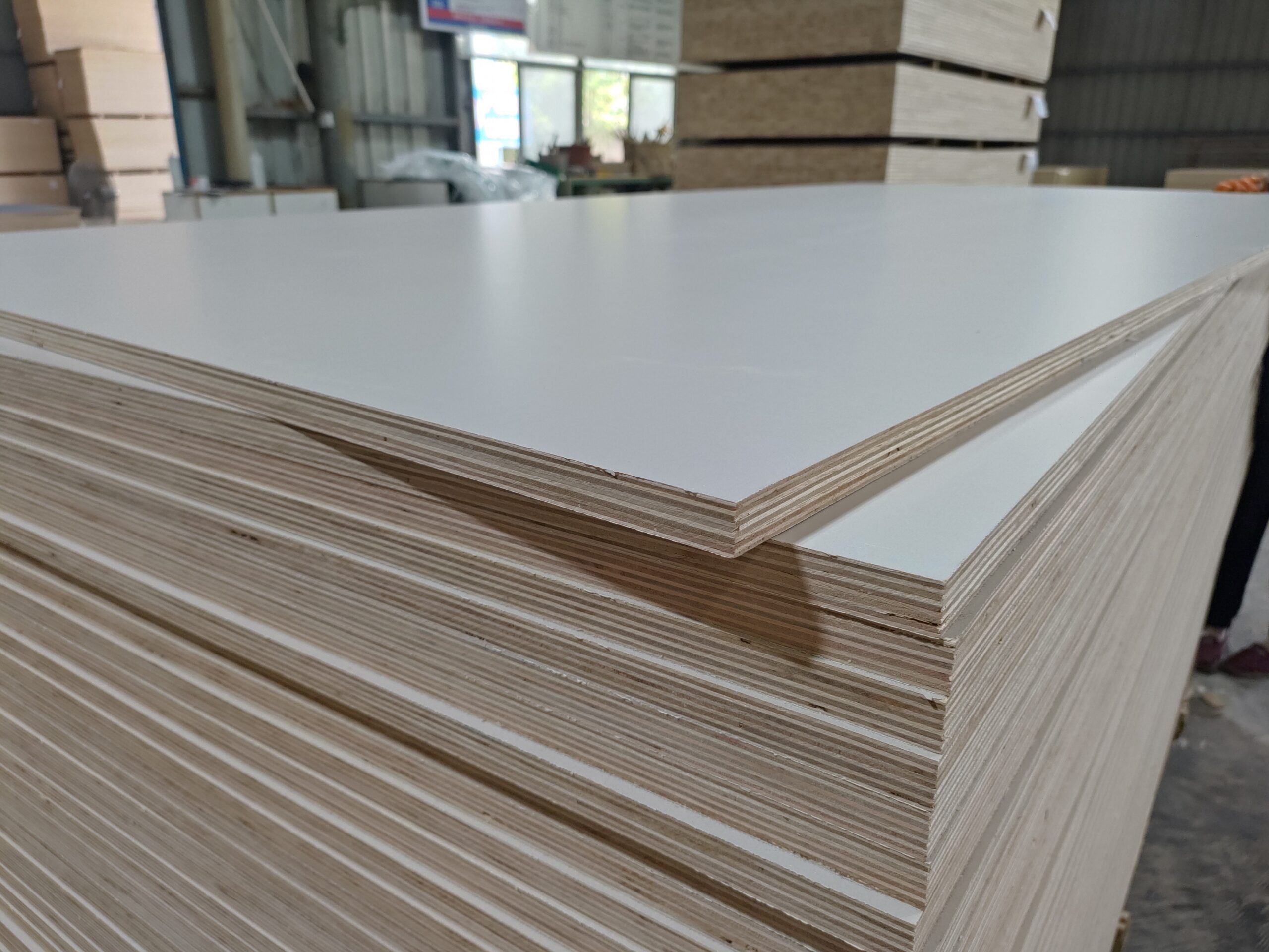 Premium Multi-Layer Solid Wood Eco-Board (Paint-Free)